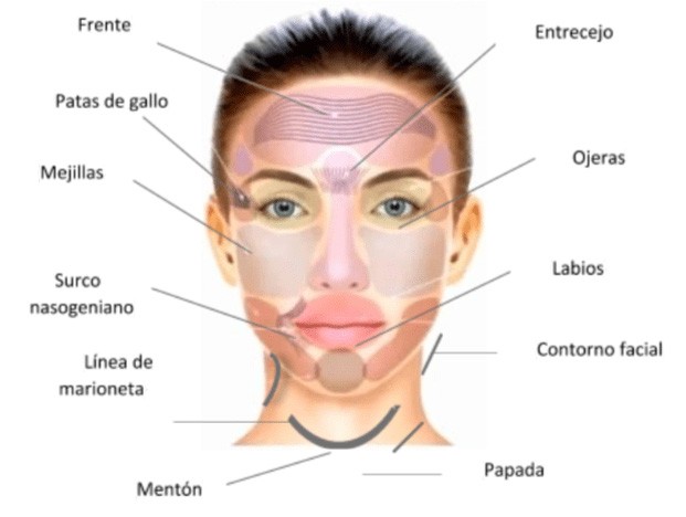 Consulta Virtual zonas faciales